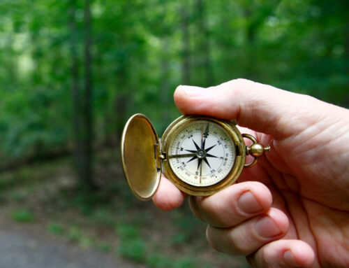 Through the Woods and Beyond: The Forecast Model as a Compass